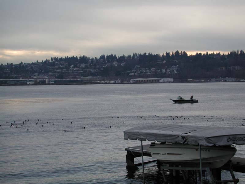 Scene from home--ducks and fishing boat.jpg 48.9K